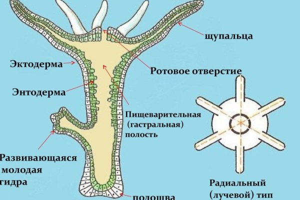 Kra44.cc Вход на сайт главная страница